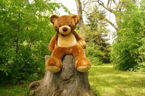 Teddy Bear Plush Nature Toy The Bear Sweet Funny