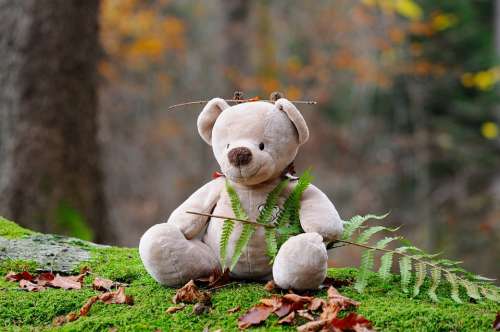 Teddy Bear Bear Children Toys Forest Stuffed Animal