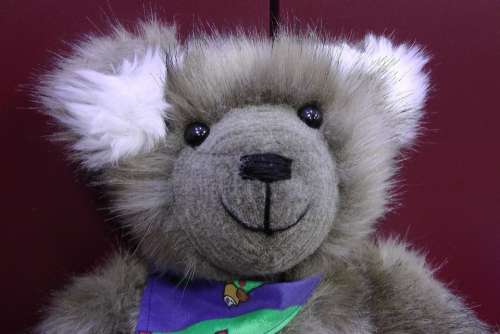 Teddy Bear Soft Toy Stuffed Animal