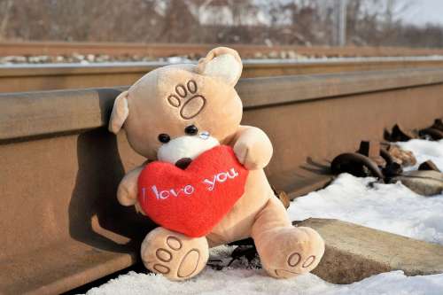 Teddy Bear Crying Stop Youth Suicide Snow Winter