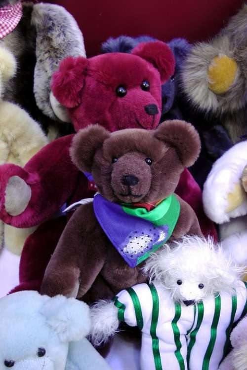 Teddy Bears Colorful Stuffed Animal Toys Plush Toys