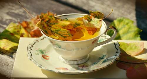 Tee Teacup Autumn Autumn Colours Fall Leaves
