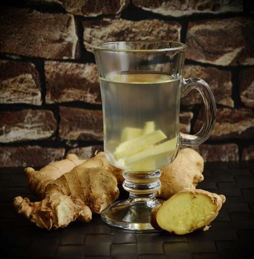 Tee Ginger Ginger Tea Ginger Root Health Healthy