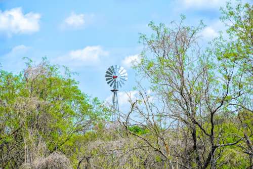 Texas Landscape Windmill Mesquite Tree Texas