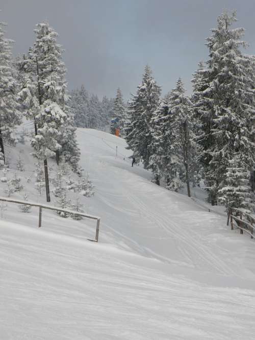 The Ski Slope Winter Mountains Skiing