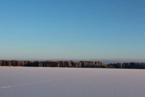 The Skyline Winter Landscape Frosty Forest