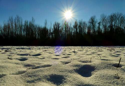 The Sun Nature Country Snow Winter Rays The Sky