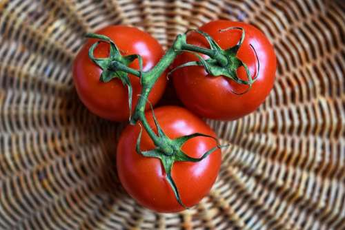 Tomato Vegetable Food Vitamins Healthy Salad Raw