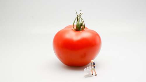 Tomato Food Vegetable Red Woman Shopping Cart