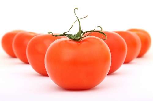 Tomatoes Fresh Organic Red Vegetable Food Ripe