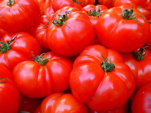 Tomatoes Vegetables Red Food
