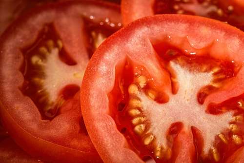 Tomatoes Red Salad Food Fresh Vegetable Healthy