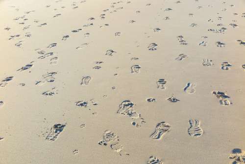 Traces Beach Sand Footprints Sand Beach Footprint