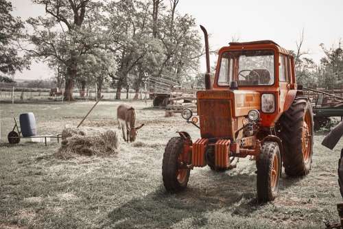 Tractor Farm Donkey Red Hay
