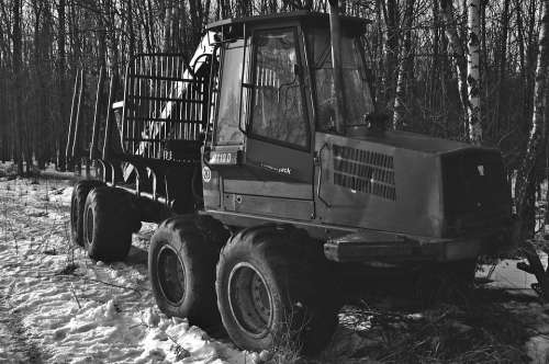 Tractor Felling Trees Work Forest Tree Wood