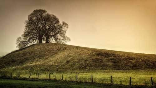Tree Hill Landscape Nature Green Meadow Rural