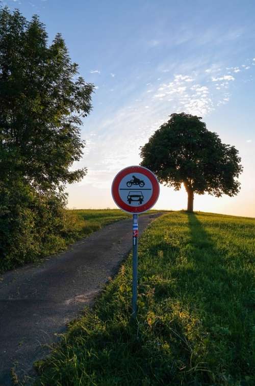 Tree Lane Traffic Sign Forbidden Passage Sky