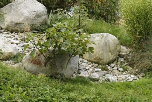 Tree Stone Meadow