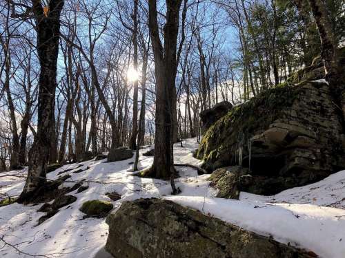 Trees Snow Rock Sunlight Winter Cold Nature