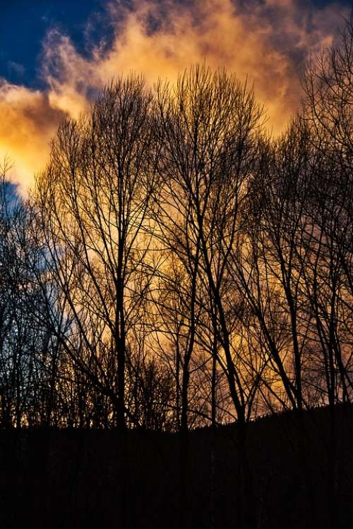 Trees Sunset Landscape Sky Clouds Twilight