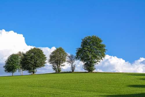Trees Clouds Meadow Nature
