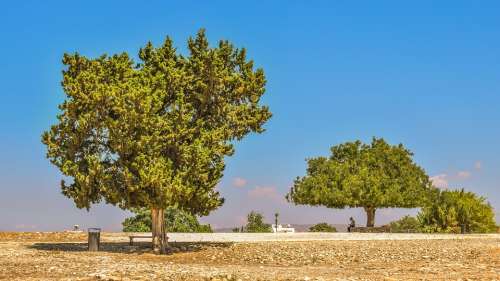 Trees Landscape Cyprus Aphrodite'S Sanctuary