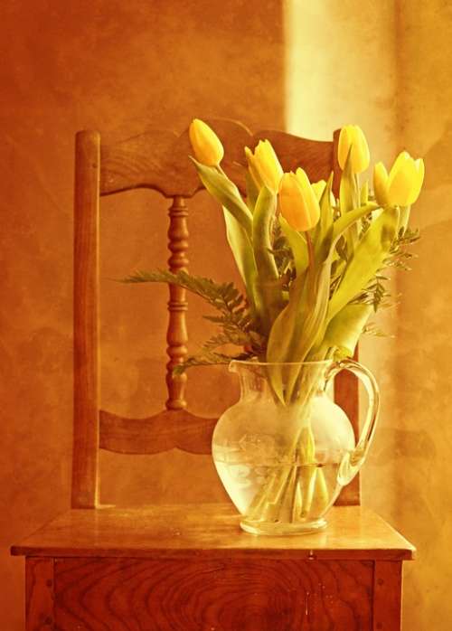 Tulip Bouquet Tulips Bouquet Vase Flower Vase