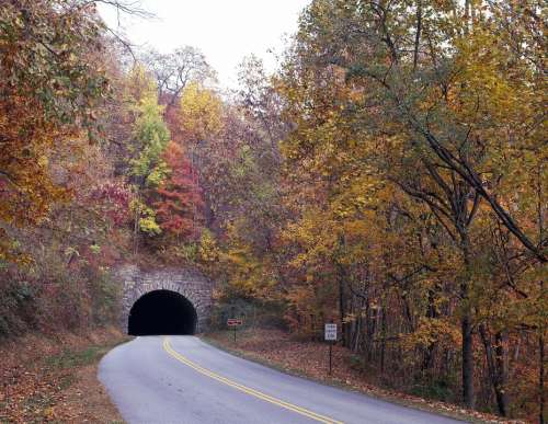 Tunnel Foliage Fall Autumn Blue Ridge Parkway