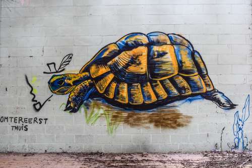 Turtle Graffiti Mural Drawing