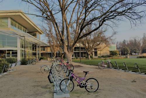 Uc Davis Bikes Campus Building College University