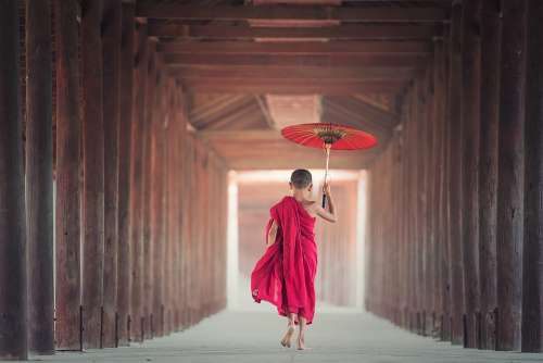 Umbrella Buddhism Monk Monastery Asia Boy