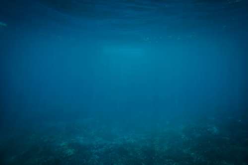 Underwater Blue Ocean Sea Diving Marine Aqua