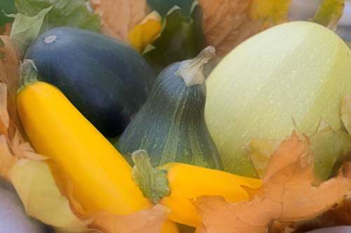 Vegetables Pumpkin Orange Food Fall Halloween