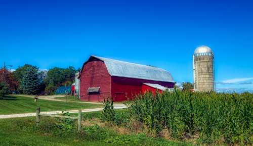Vermont Corn Cornfield Landscape Scenic Farm Barn