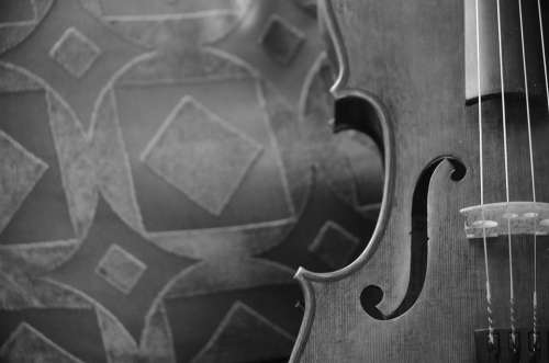 Viola Music M Musical Instrument Musician Classic