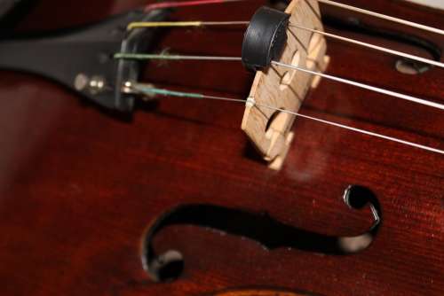 Viola Stringed Instrument Brown Wood Melody