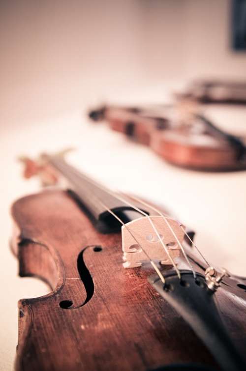 Violin Violins Classical Music Classic