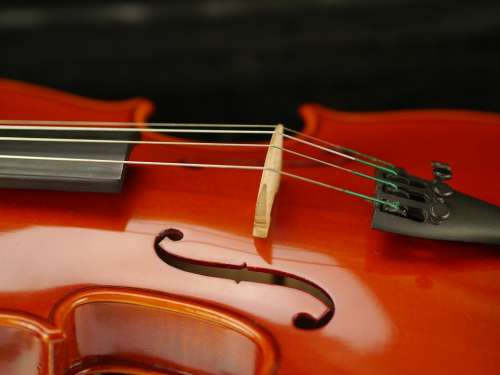Violin Instrument Classic Musical Instrument