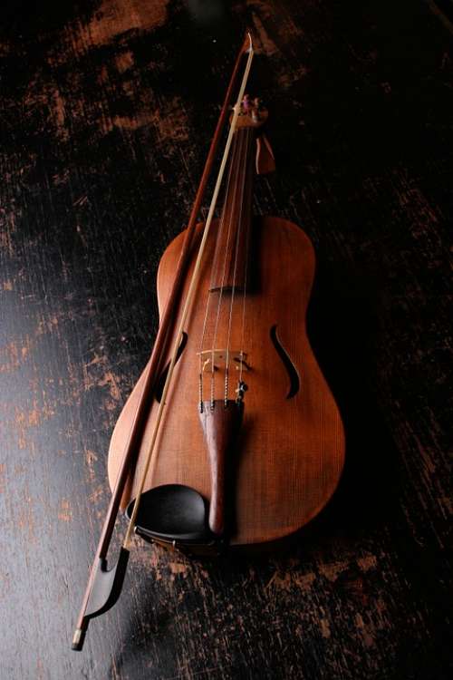 Violin Musical Instrument Music Sound