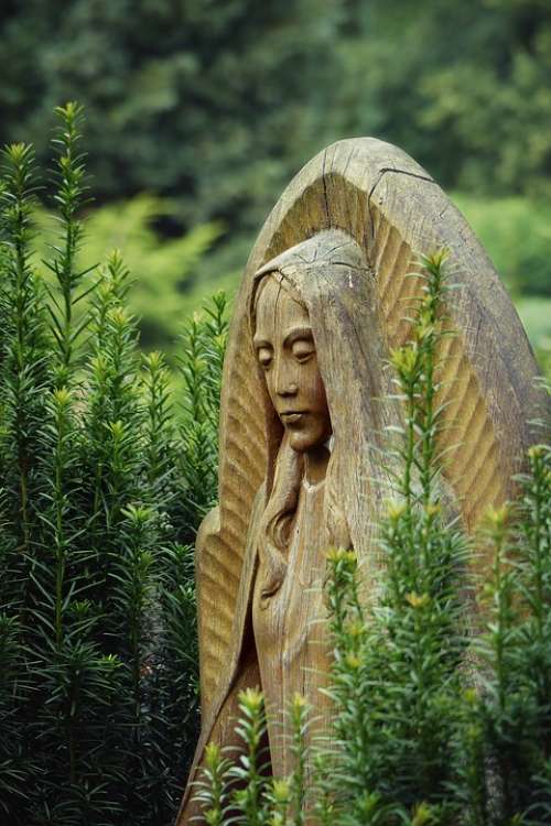Virgin Maria Monument Statue Tombstone Wood Woods