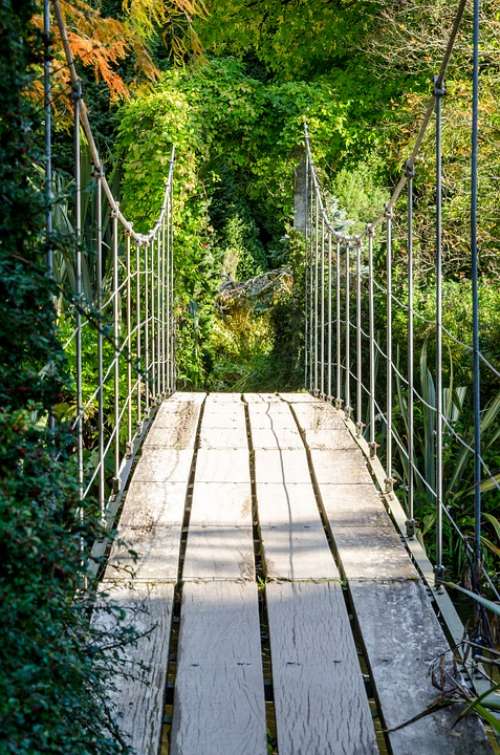 Walkway Bridge Wooden Scenic Footbridge Walk Wood