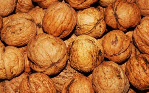 Walnut Walnuts Nuts Brown Nut Healthy Natural