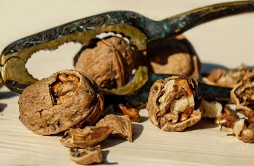 Walnut Nut Brown Fruit Bowl Food Healthy