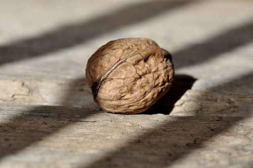 Walnut Nut Fruit Bowl Healthy Delicious