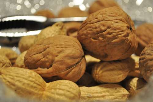 Walnuts Nuts Dried Fruit Food Walnut Nutrition
