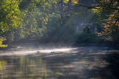 Water Pond Folly Flip Ducks Atmosphere Fog