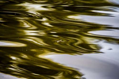 Water Abstract Ocean Sea Bokeh Liquid Gold