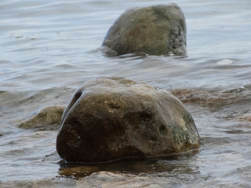 Water Stone Sea Seashell