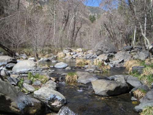 Water River Stream Creek Landscape Nature Flow