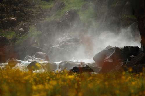 Water Mist Waterfall Flower Meadow Iceland Spring
